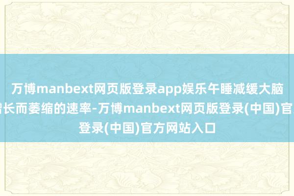 万博manbext网页版登录app娱乐午睡减缓大脑跟着年齿增长而萎缩的速率-万博manbext网页版登录(中国)官方网站入口