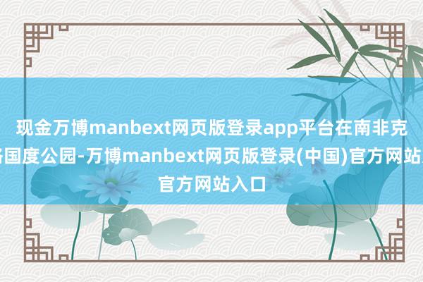 现金万博manbext网页版登录app平台在南非克鲁格国度公园-万博manbext网页版登录(中国)官方网站入口