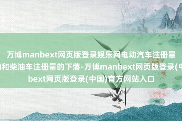 万博manbext网页版登录娱乐网电动汽车注册量的增长对消了汽油和柴油车注册量的下落-万博manbext网页版登录(中国)官方网站入口