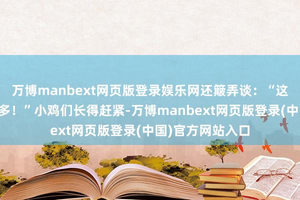 万博manbext网页版登录娱乐网还簸弄谈：“这比拍综艺刺激得多！”小鸡们长得赶紧-万博manbext网页版登录(中国)官方网站入口